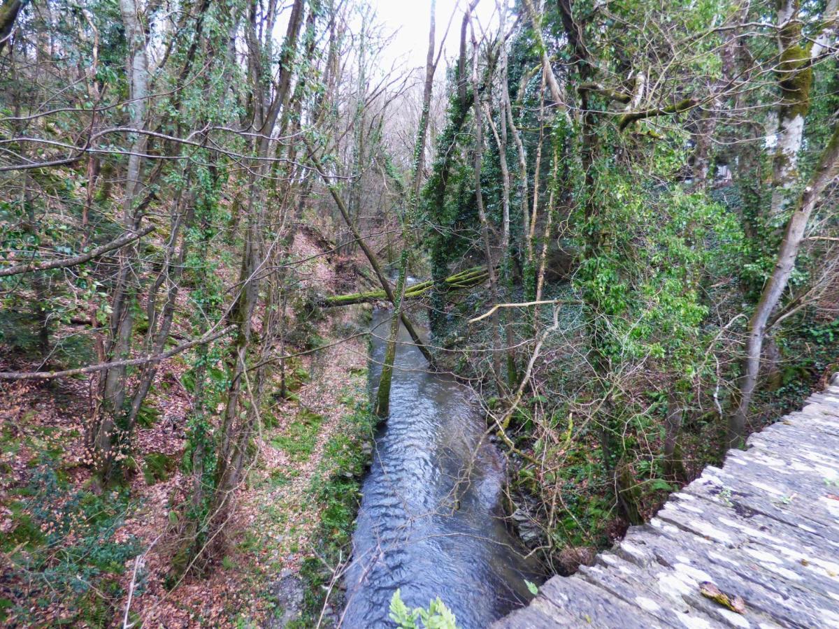 The Mill Cottage Llechryd Exterior foto
